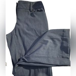 new york &company dress pants
